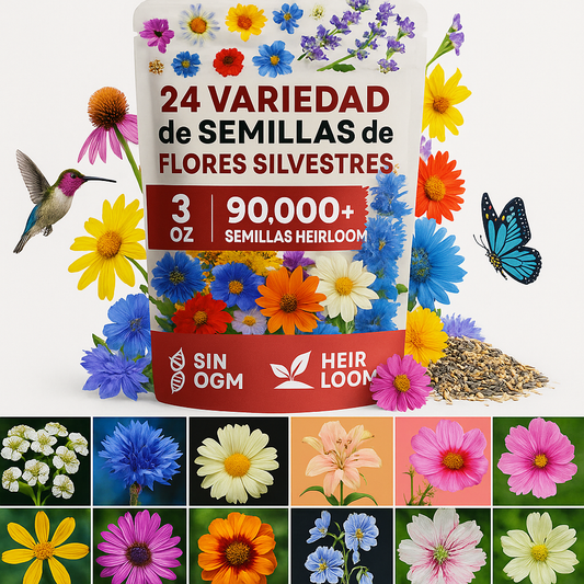 🌸 24 Semillas de Flores Silvestres Perenes – Coloridas y Fáciles 🌼